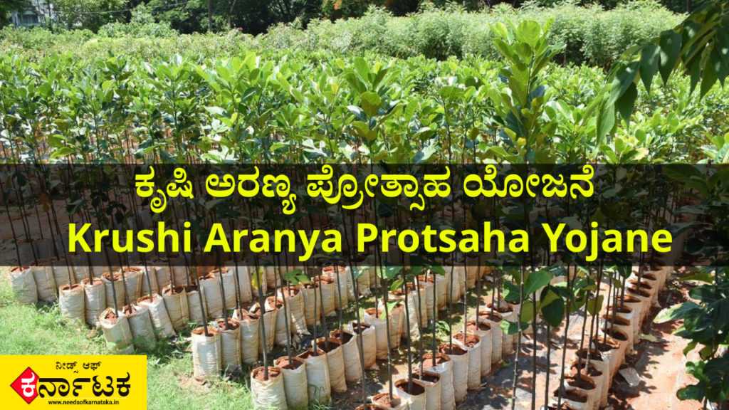 ಕೃಷಿ ಅರಣ್ಯ ಪ್ರೋತ್ಸಾಹ ಯೋಜನೆ | Krushi Aranya Protsaha Yojane
